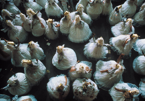 (c) Bruno Barbey / Magnum Photos