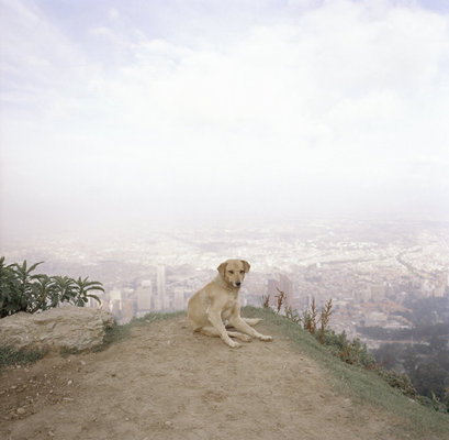 (c) Magnum Photos