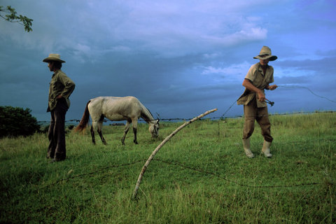 (c) David Alan Harvey / Magnum Photos
