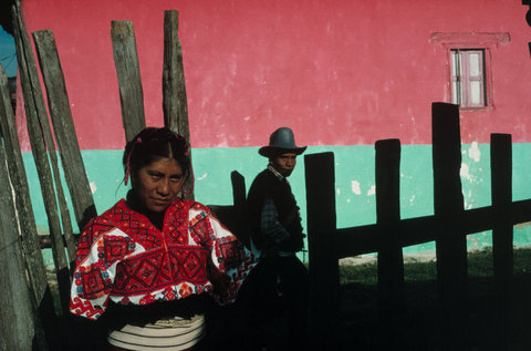 (c) David Alan Harvey / Magnum Photos