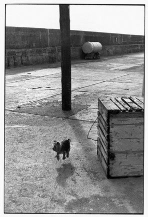 (c) Elliott Erwitt / Magnum Photos