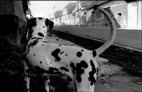 (c) JK / Magnum Photos
