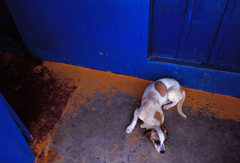 (c) Miguel Rio Branco / Magnum Photos