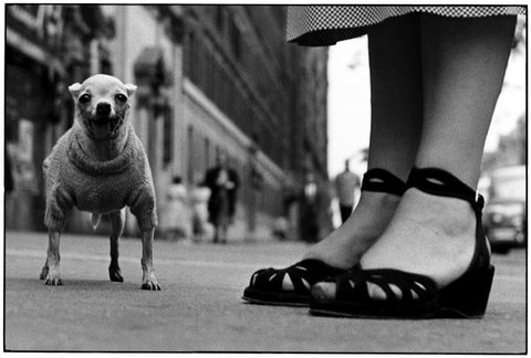 (c) Elliott Erwitt / Magnum Photos
