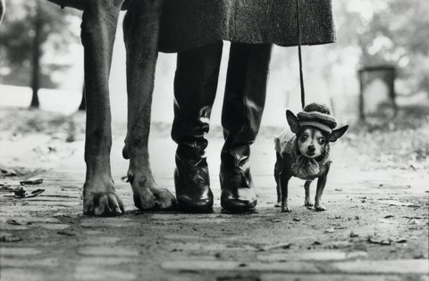 (c) Elliott Erwitt / Magnum Photos