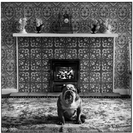 (c) Elliott Erwitt / Magnum Photos