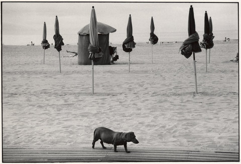 (c) Elliott Erwitt / Magnum Photos