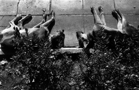 (c) JK / Magnum Photos