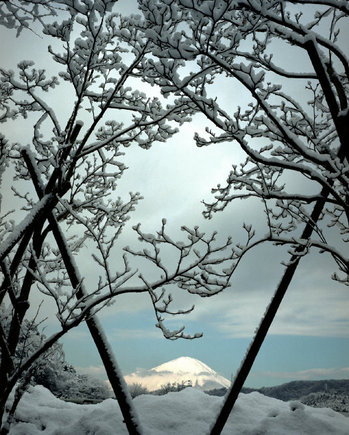 (c) Chris Steele-Perkins / Magnum Photos