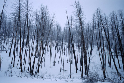 (c) Stuart Franklin / Magnum Photos