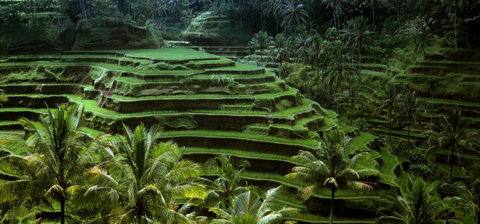 (c) Stuart Franklin / Magnum Photos