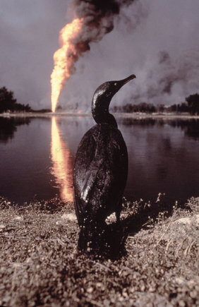 (c) Steve McCurry / Magnum Photos