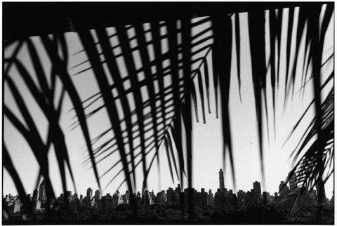 (c) JK / Magnum Photos