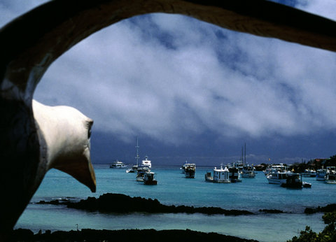 (c) Stuart Franklin / Magnum Photos