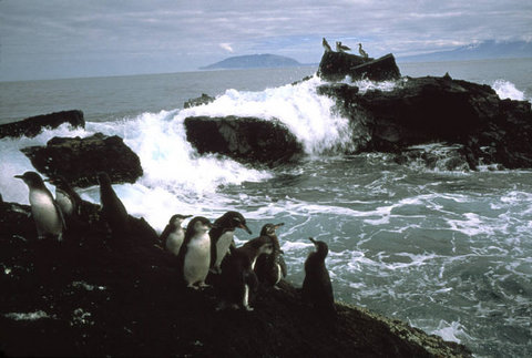 (c) Stuart Franklin / Magnum Photos