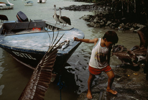 (c) Stuart Franklin / Magnum Photos