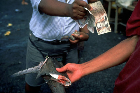 (c) Stuart Franklin / Magnum Photos