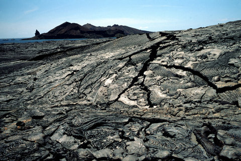 (c) Stuart Franklin / Magnum Photos