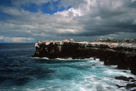 (c) Stuart Franklin / Magnum Photos