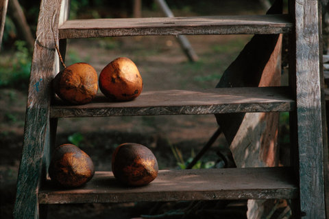 (c) Stuart Franklin / Magnum Photos
