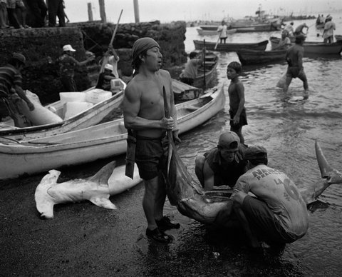 (c) Stuart Franklin / Magnum Photos