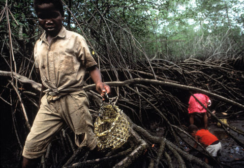 (c) Alex Webb / Magnum Photos
