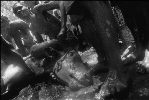 (c) Abbas / Magnum Photos