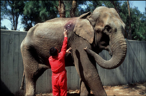 (c) Abbas / Magnum Photos
