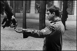 Elliott Erwitt   s Handbook