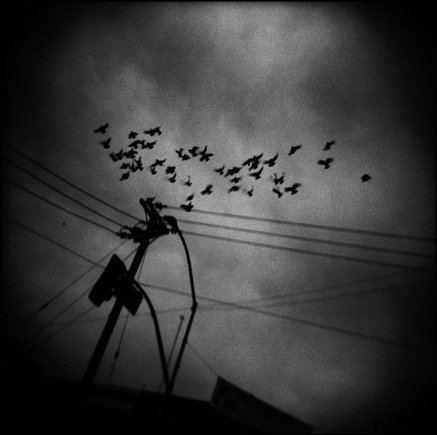 (c) 
Antoine D'Agata
 / Magnum Photos