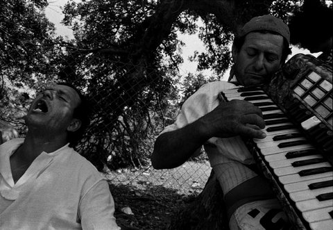(c) Alex Majoli / Magnum Photos