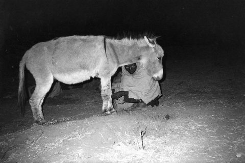 (c) Ferdinando Scianna / Magnum Photos