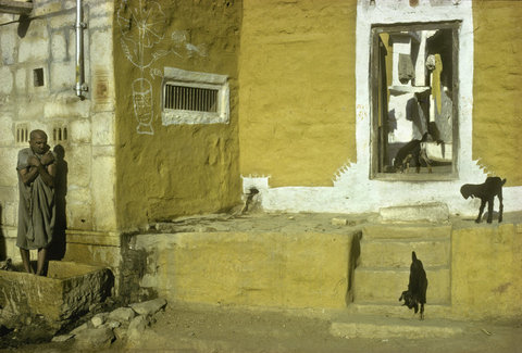 (c) Harry Gruyaert / Magnum Photos