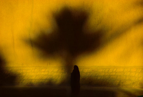 (c) Harry Gruyaert / Magnum Photos