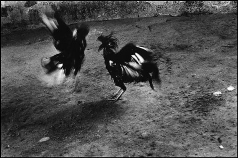 (c) Antoine D'Agata / Magnum Photos