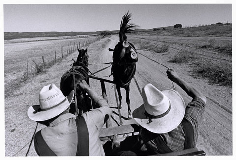 (c) Larry Towell / Magnum Photos