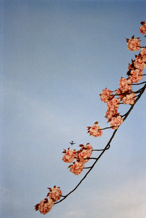 (c) Chris Steele-Perkins / Magnum Photos
