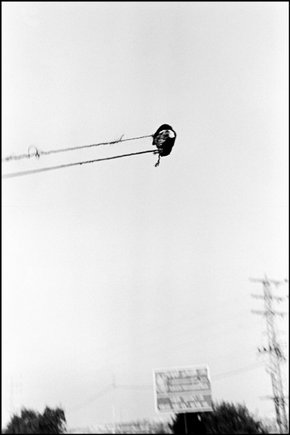 (c) Larry Towell / Magnum Photos
