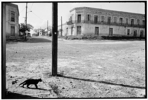 (c) Alex Webb / Magnum Photos