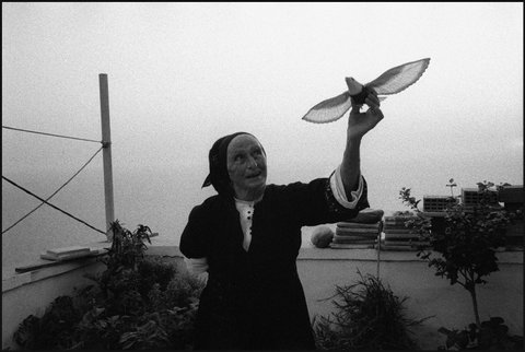 (c) Nikos Economopoulos / Magnum Photos