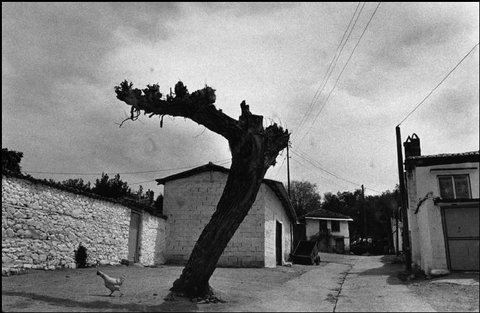 (c) Nikos Economopoulos / Magnum Photos