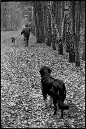 (c) Elliott Erwitt  / Magnum Photos