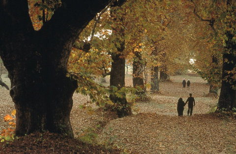 (c) Steve McCurry / Magnum Photos