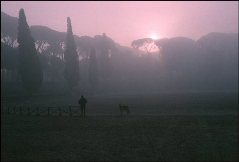 (c) Harry Gruyaert / Magnum Photos