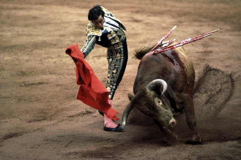 (c) David Alan Harvey / Magnum Photos