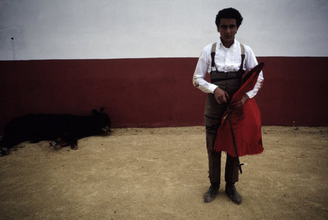 (c) David Alan Harvey / Magnum Photos