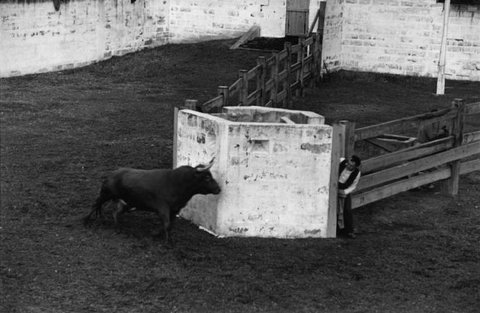 (c) Henri Cartier-Bresson / Magnum Photos