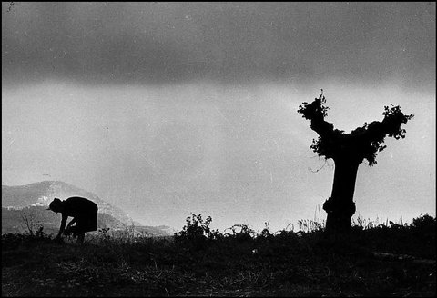 (c) Henri Cartier-Bresson / Magnum Photos