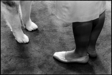 (c) Elliott Erwitt  / Magnum Photos