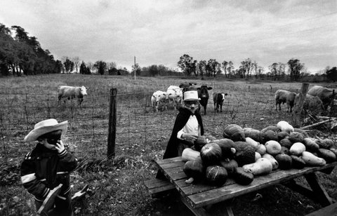 (c) Larry Towell / Magnum Photos
